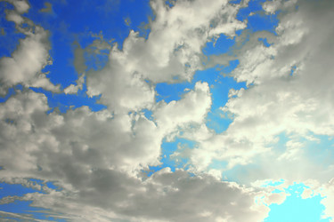 Similar image 181282