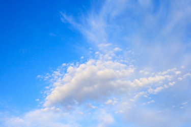 Similar image 181283