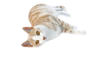 Similar image 181287