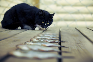 Similar image 181303