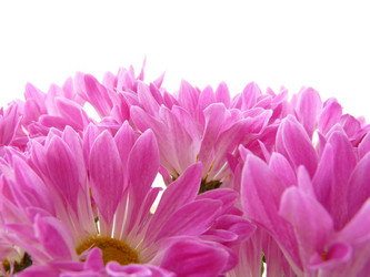 Similar image 181304