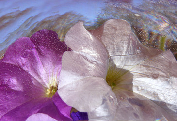 Similar image 181381