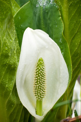 Similar image 181383