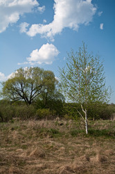 Similar image 181398