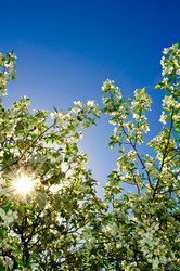 Similar image 181414