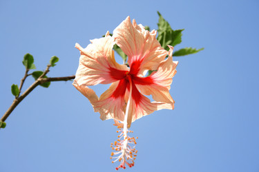 Similar image 181465