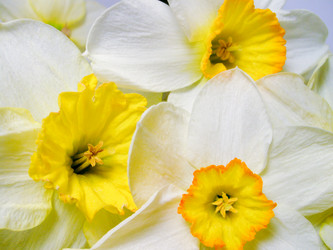 Similar image 181468