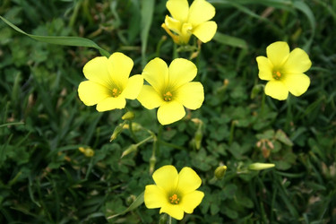 Similar image 181469