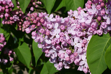 Similar image 181478