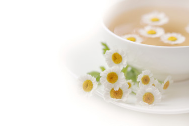 Similar image 181479