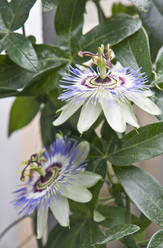 Similar image 181493