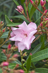 Similar image 181502