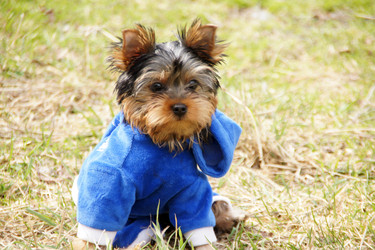 Similar image 181512