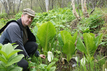 Similar image 181513