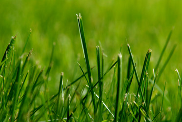 Similar image 181535