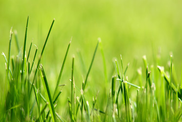 Similar image 181536