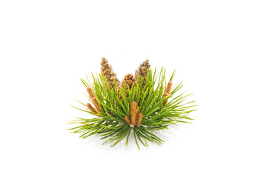 Similar image 181538