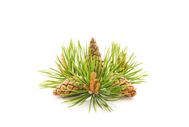 Similar image 181539