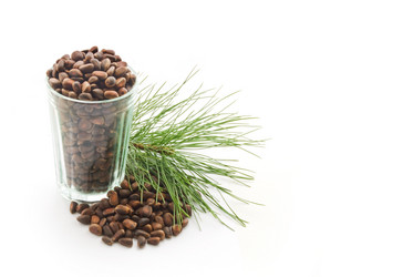 Similar image 181540