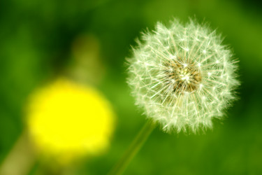 Similar image 181542