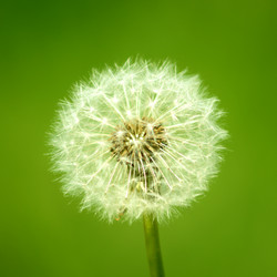 Similar image 181544