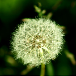 Similar image 181568