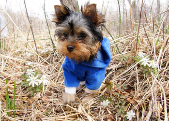 Similar image 181573