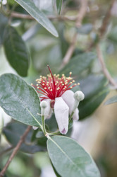 Similar image 181583