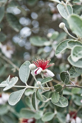 Similar image 181584