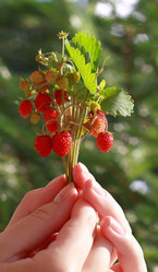 Similar image 181591