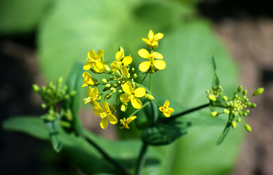 Similar image 181592