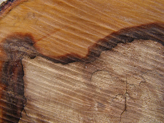 Similar image 181596