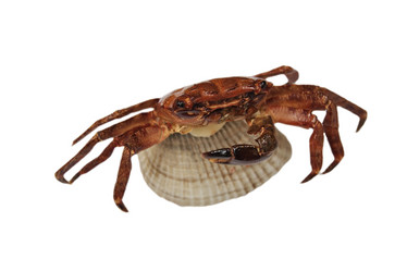 Similar image 181599