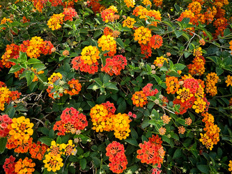 Similar image 181607