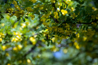 Similar image 181619