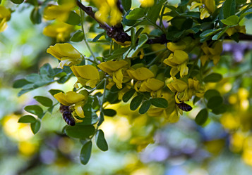 Similar image 181620