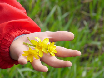 Similar image 181626