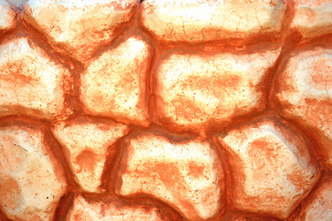 Similar image 181631