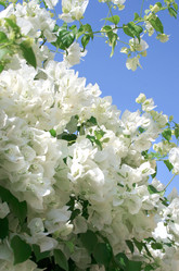 Similar image 181636