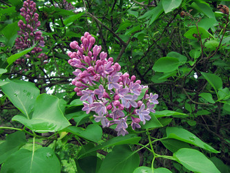 Similar image 181641