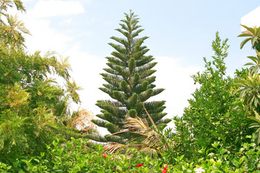 Similar image 181648