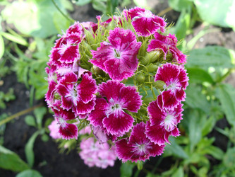 Similar image 181728