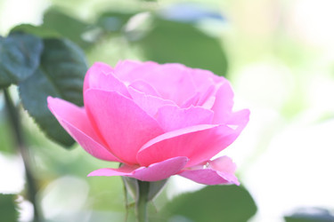 Similar image 181733