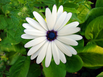 Similar image 181825