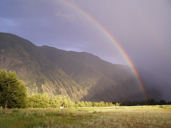 Similar image 181831