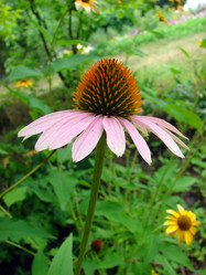 Similar image 181835