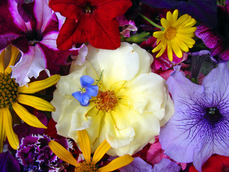 Similar image 181839