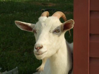 Similar image 181843