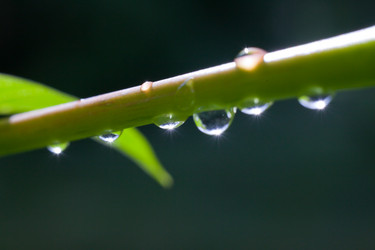 Similar image 181856