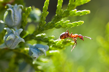 Similar image 181858